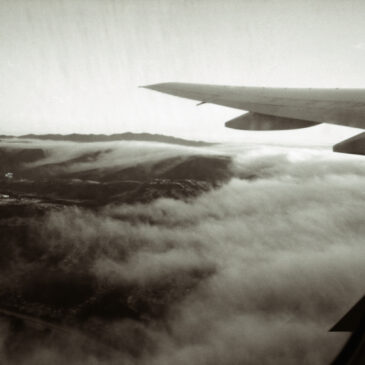 I could go on forever – Gillian Alexandra Kalisky