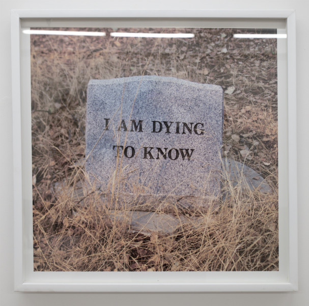Dying To Know