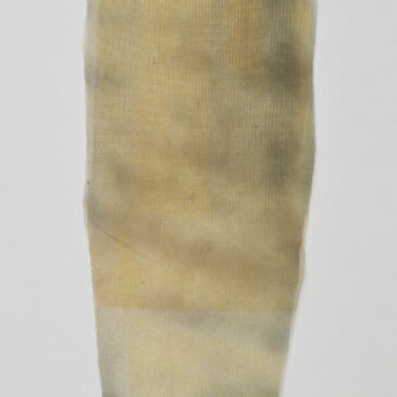 Breathwork by Janice Nakashima