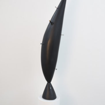 “Lessons Learned” – Ronald Peetz