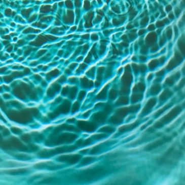 Benjamin Hunt – “Surveying the Prairie of a Room”