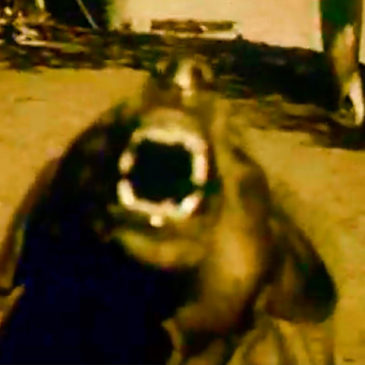 Justin Marsh – “The Four Humors”