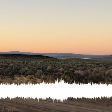 Kenna Doeringer – “A Perceived Sense of Silence”