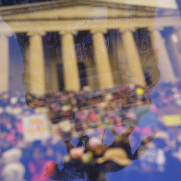 (re)flectionNick Shepard and Jake Seltzer