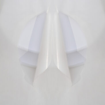 Richard GillesThe Sequestered Form