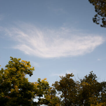 Doug Dertinger –  March 2020 – March 2021