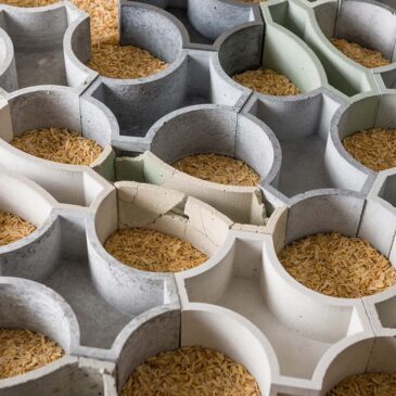 Learning From Life Cycles – Dan Tran