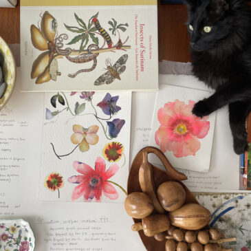 [Placeholder]: florilegia – Eliza Gregory