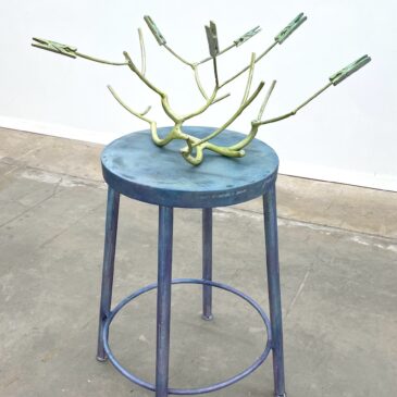 Lost at Home, Found in Garden – Benjamin Hunt