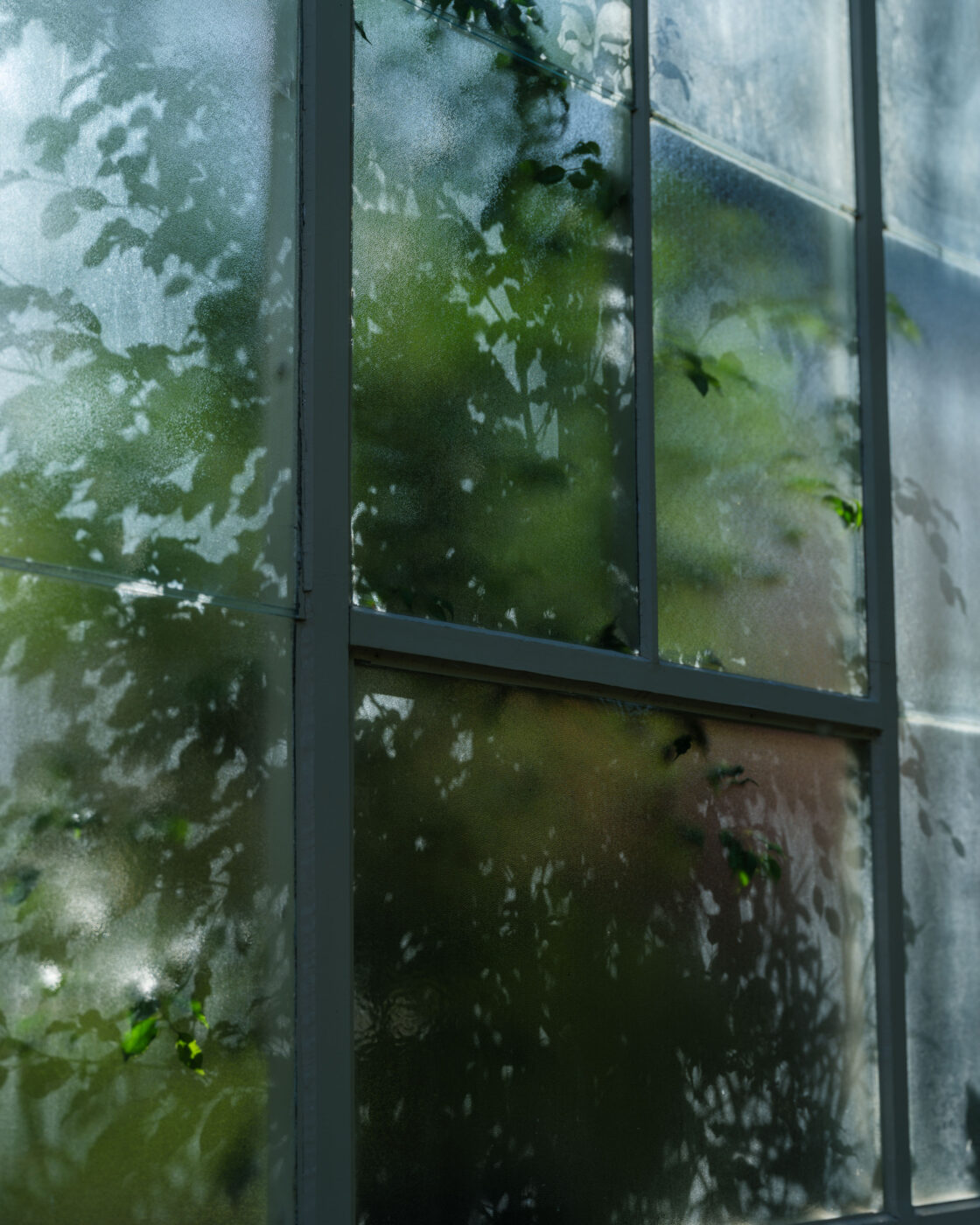 Through the Looking Glass