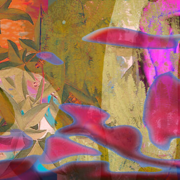 MISC. – Nicole Jean Hill and Doug Dertinger