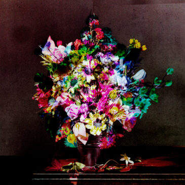 The Known World – Nick Shepard