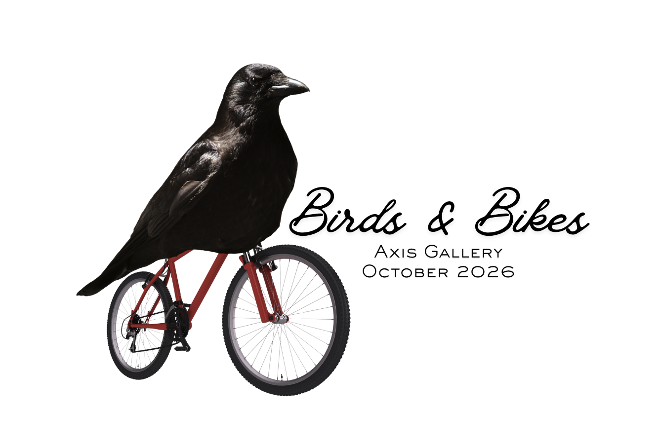 birds and bikes