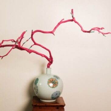 Who are Orientals: Magenta Realism by Sharon Tsao